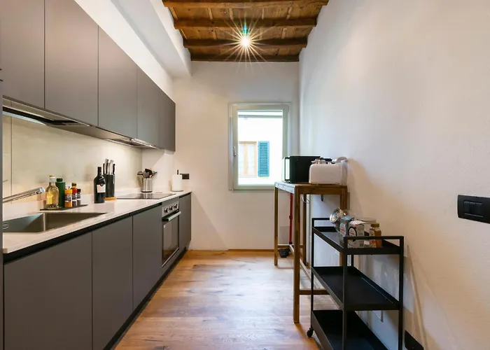 Apartman Oltrarno Deluxe, *